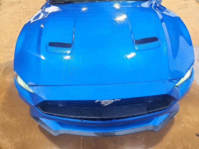 Photo 11 from auction – 2019 FORD MUSTANG with VIN 1FA6P8TH6K5195569