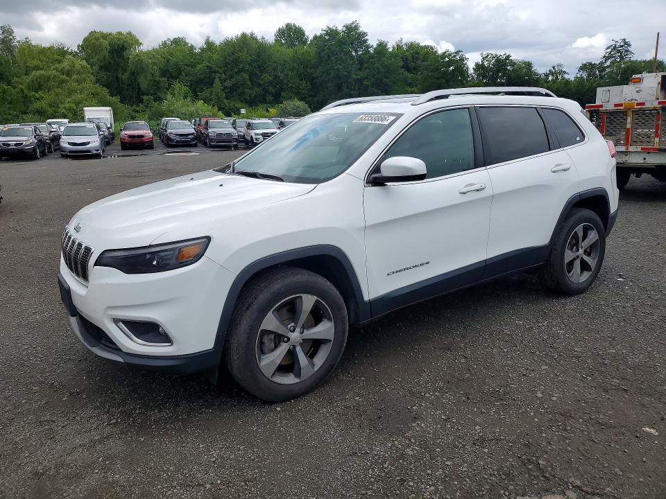 JEEP CHEROKEE 2020 with VIN 1C4PJMDN2LD567929 - Photo from auction