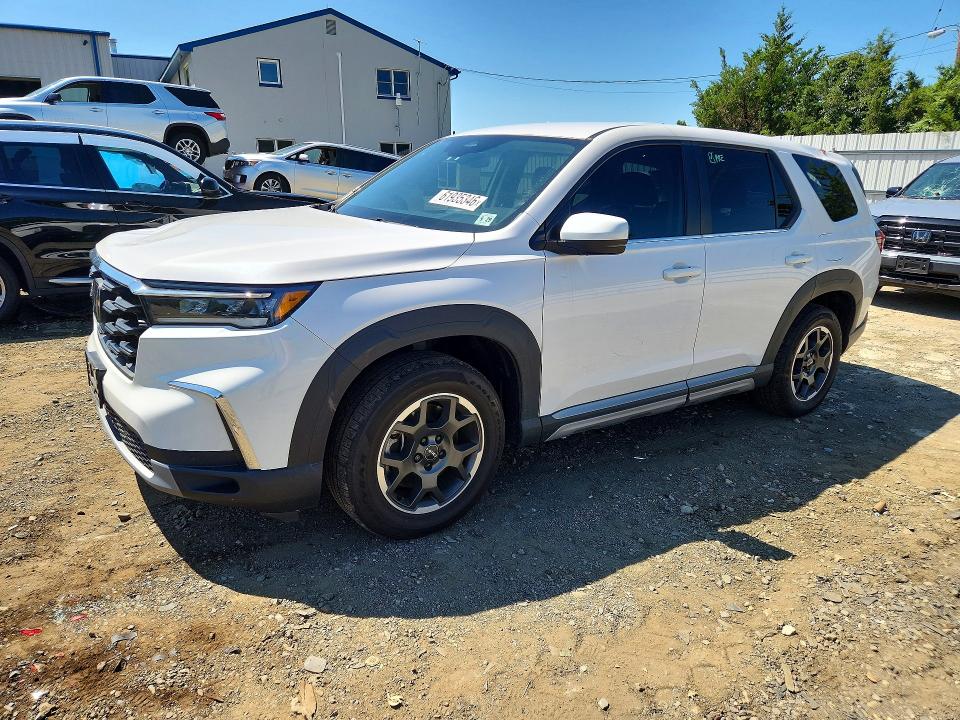 HONDA PILOT 2024 with VIN 5FNYG1H40RB033414 - Photo from auction
