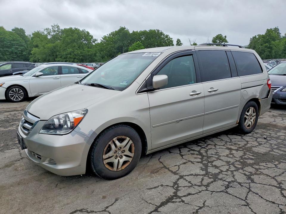 HONDA ODYSSEY 2005 with VIN 5FNRL38495B010591 - Photo from auction