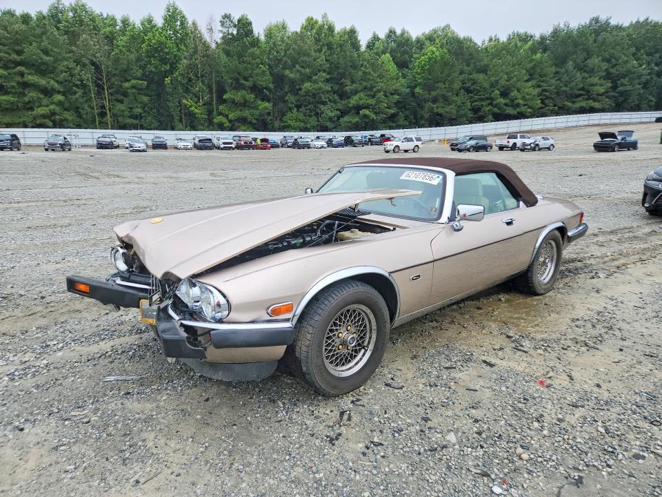 JAGUAR XJS 1991 with VIN SAJTW484XMC177039 - Photo from auction