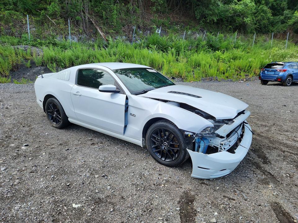 Photo 4 from auction – 2014 FORD MUSTANG with VIN 1ZVBP8CF9E5286294