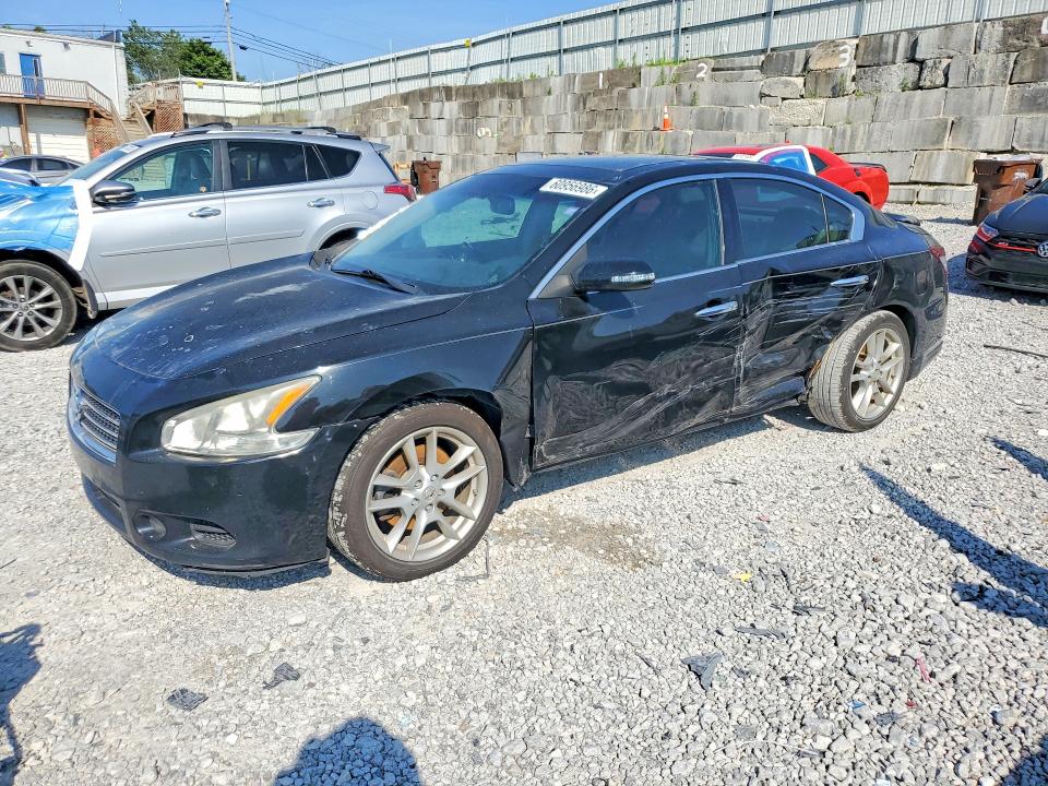 NISSAN MAXIMA 2011 with VIN 1N4AA5AP3BC807517 - Photo from auction