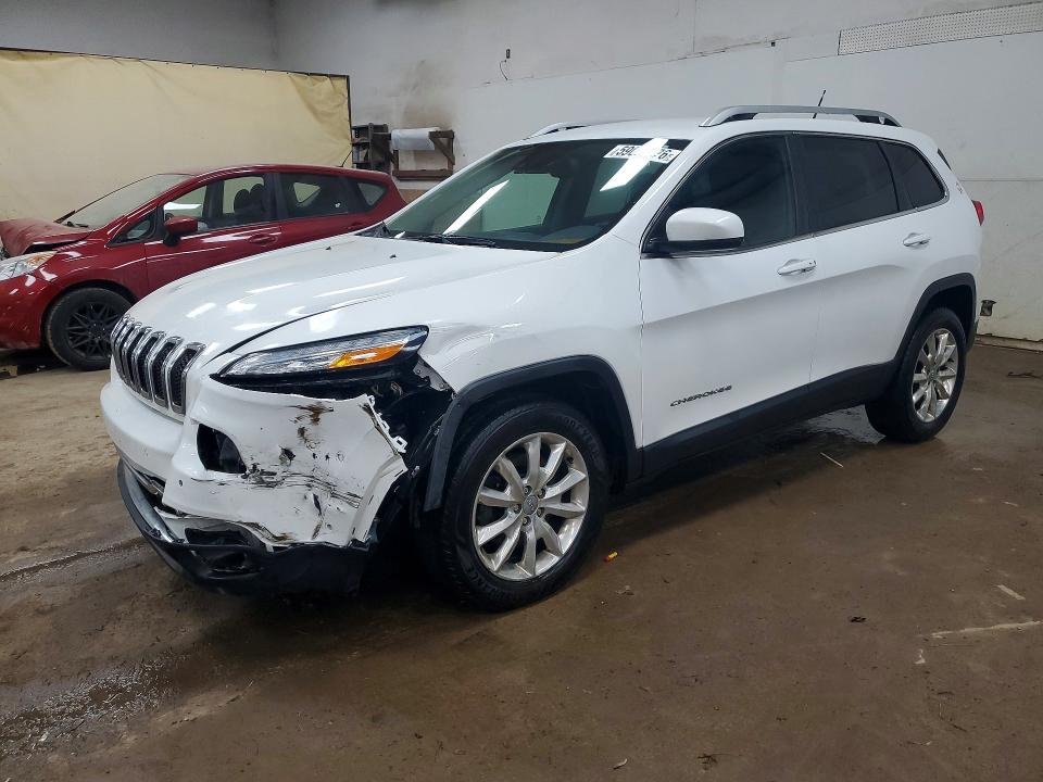 JEEP CHEROKEE 2014 with VIN 1C4PJMDS0EW250325 - Photo from auction