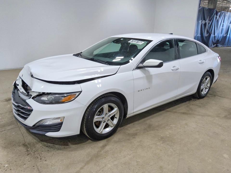 CHEVROLET MALIBU 2019 with VIN 1G1ZC5ST6KF169113 - Photo from auction