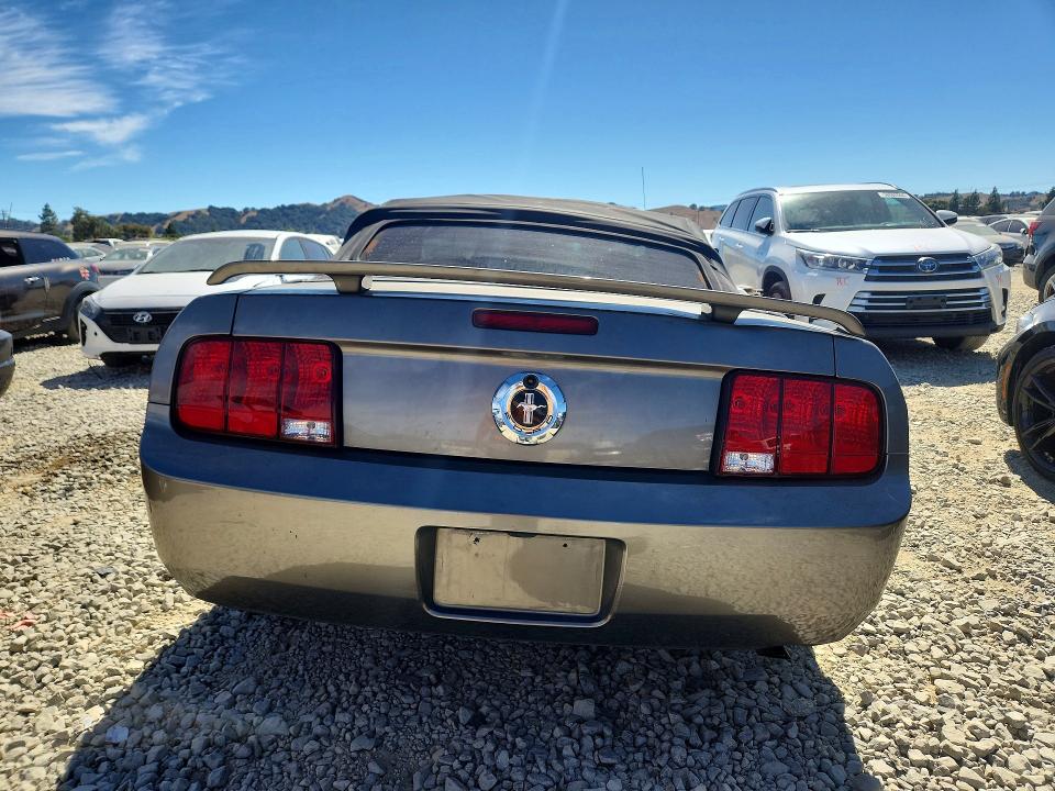 Photo 6 from auction – 2005 FORD MUSTANG with VIN 1ZVFT84N255228286