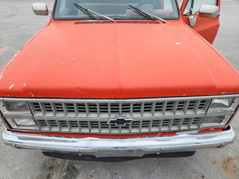 Photo 11 from auction – 1981 CHEVROLET C10 with VIN 1GCDC14D8BB131891