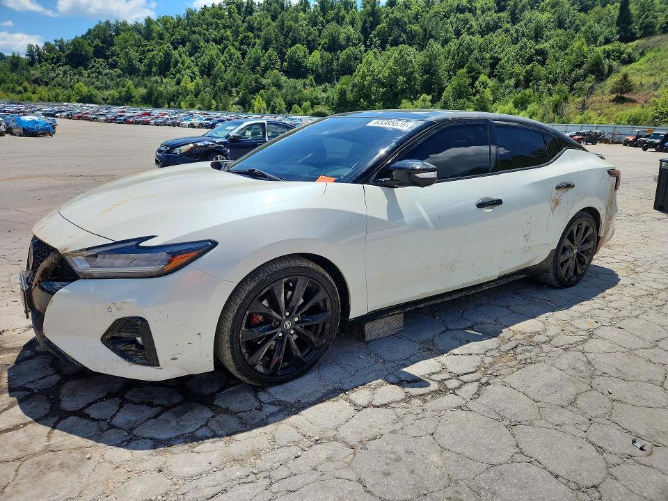 NISSAN MAXIMA 2020 with VIN 1N4AA6EV2LC368181 - Photo from auction