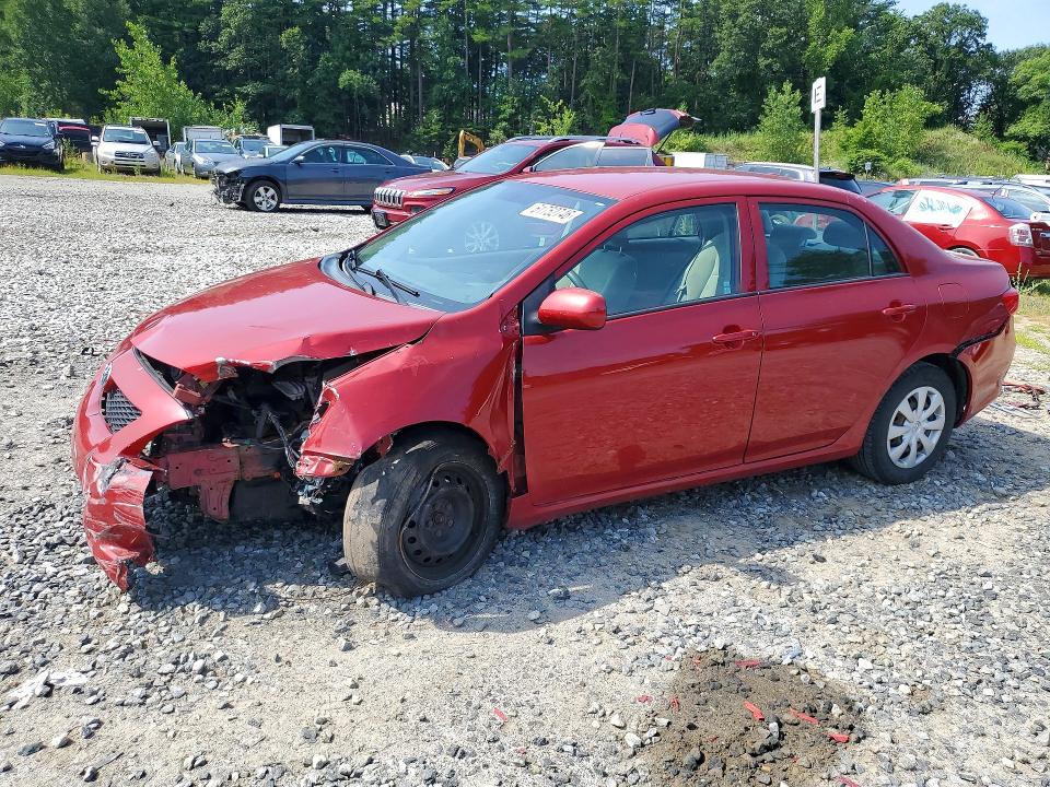 TOYOTA COROLLA 2010 with VIN 2T1BU4EE7AC383869 - Photo from auction