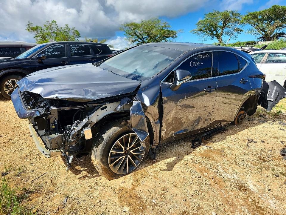 2024 LEXUS NX - Търг №61400216