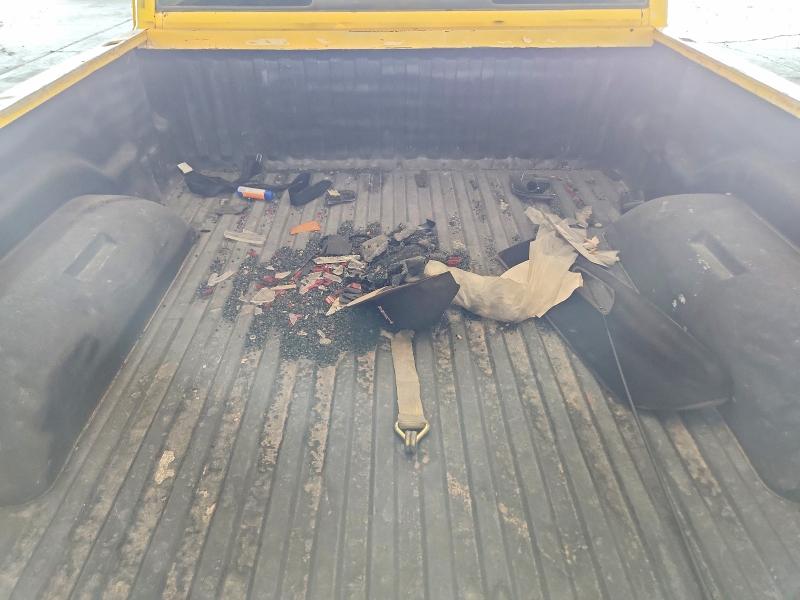 Photo 10 from auction – 1995 DODGE RAM 1500 with VIN 1B7HF16Y0SS336808