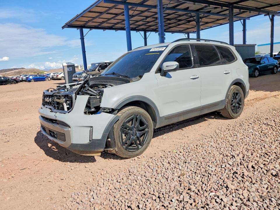 KIA TELLURIDE 2023 with VIN 5XYP3DGC5PG362097 - Photo from auction