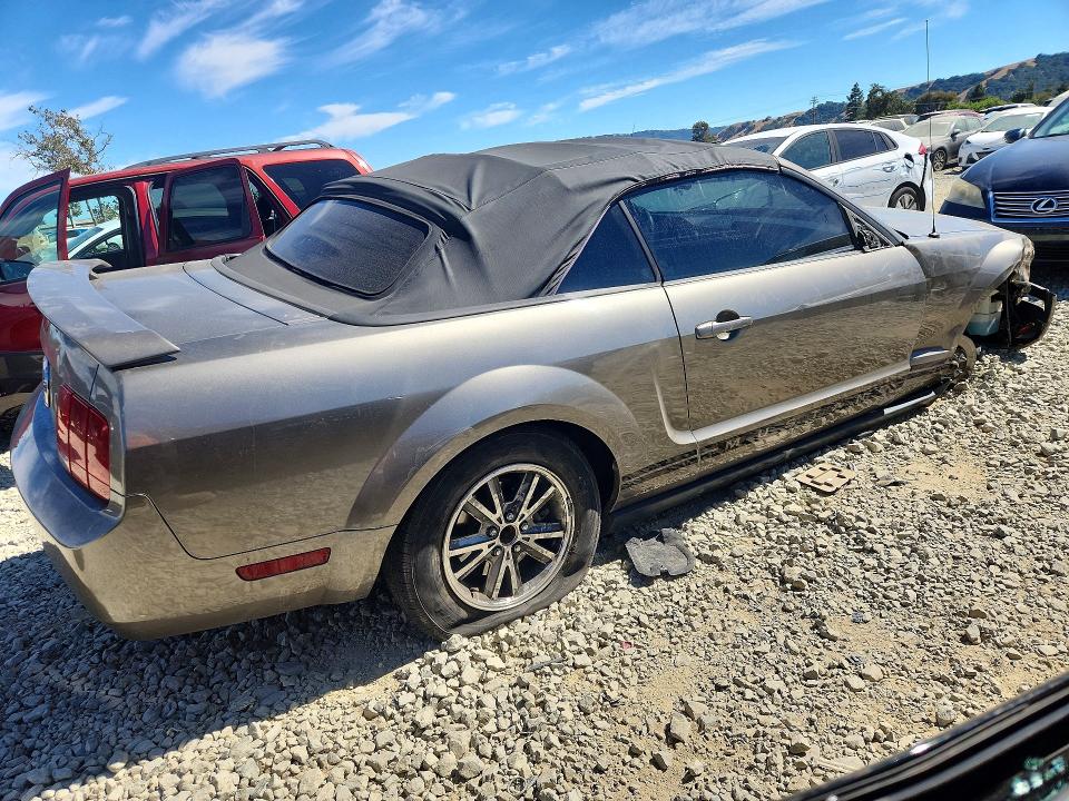 Photo 3 from auction – 2005 FORD MUSTANG with VIN 1ZVFT84N255228286