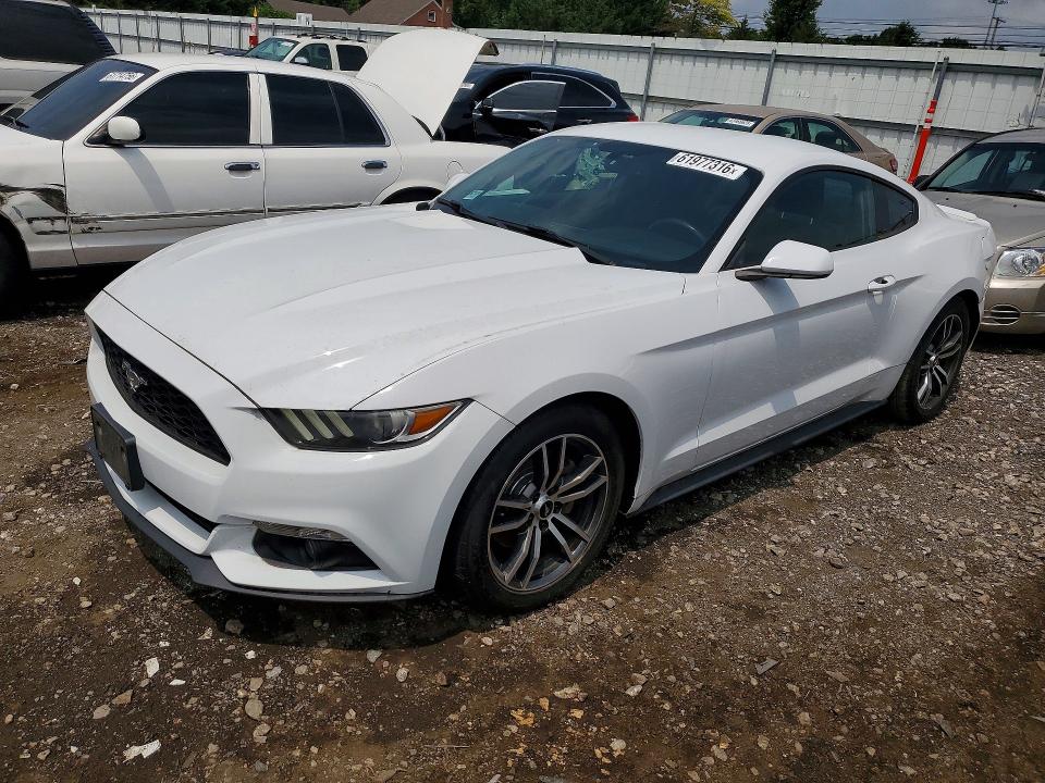 Photo 1 from auction – 2017 FORD MUSTANG with VIN 1FA6P8TH1H5256223