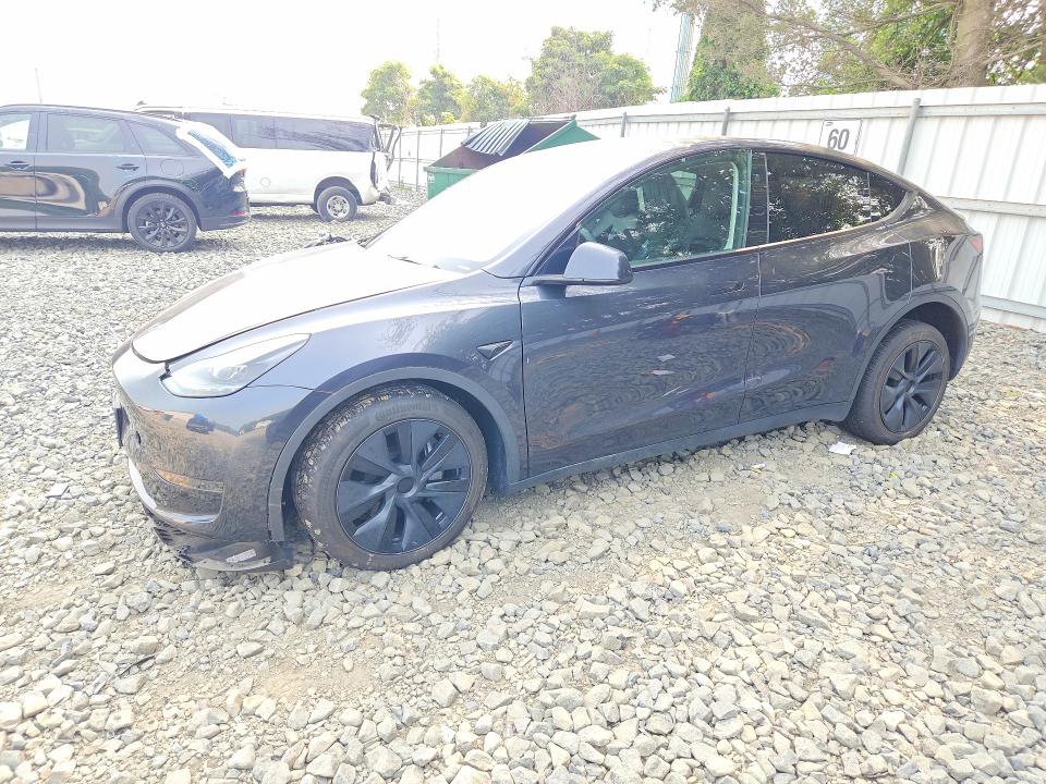 TESLA MODEL Y 2024 with VIN 7SAYGDED0RF191017 - Photo from auction