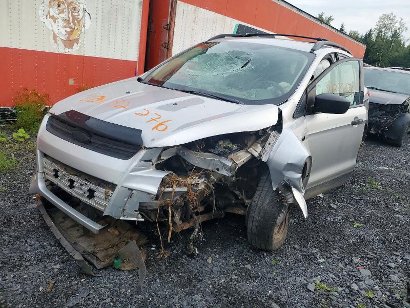 FORD ESCAPE 2014 with VIN 1FMCU0F74EUB50646 - Photo from auction