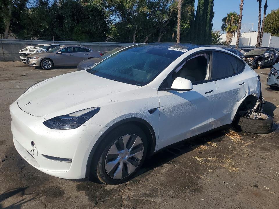 TESLA MODEL Y 2024 с VIN 7SAYGDEE4RA263584 - Снимка от търг