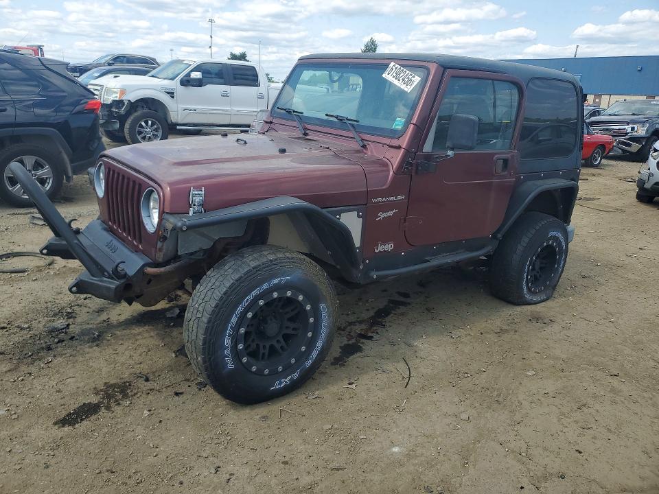 JEEP WRANGLER / TJ 2002 with VIN 1J4FA49S02P767418 - Photo from auction