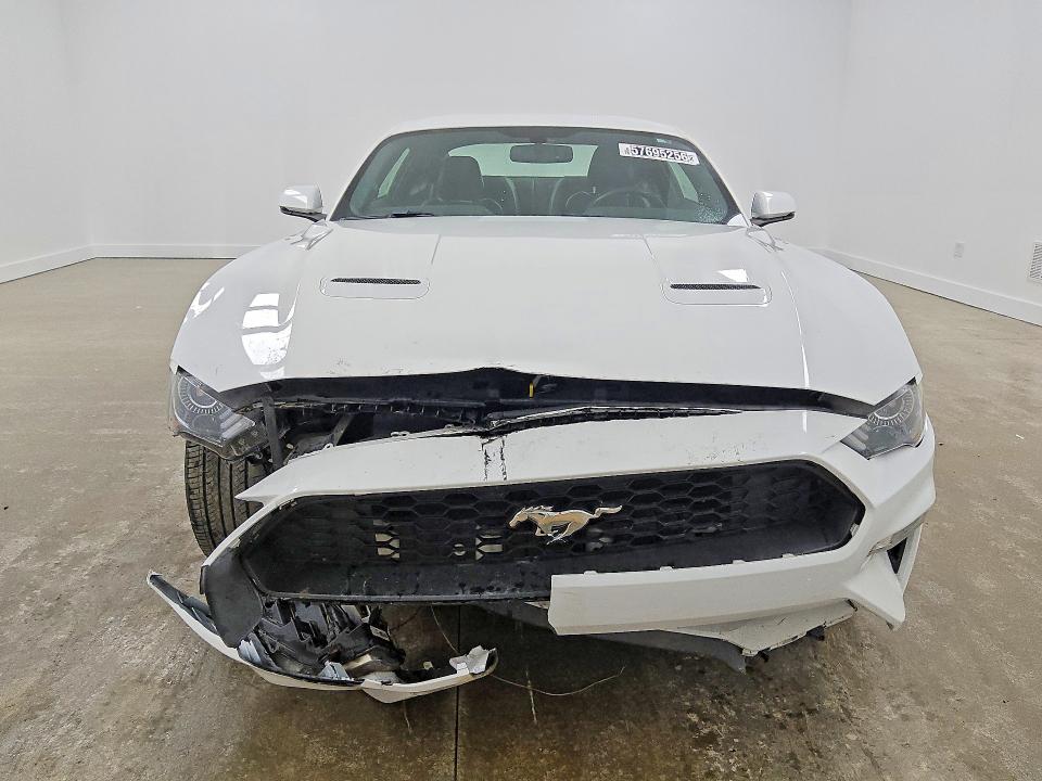 Photo 5 from auction – 2019 FORD MUSTANG with VIN 1FA6P8TH4K5162134