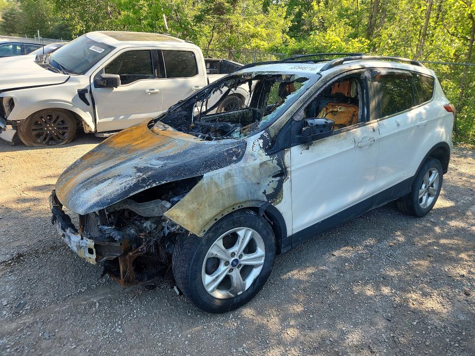 FORD ESCAPE 2013 with VIN 1FMCU0GX2DUB10627 - Photo from auction