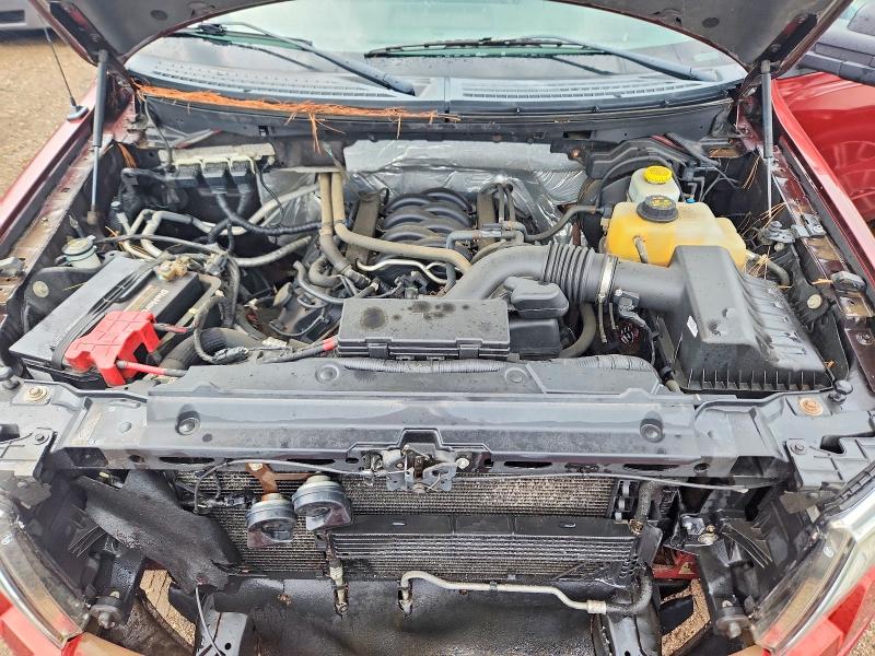Photo 11 from auction – 2014 FORD F150 with VIN 1FTFX1EF7EKF17011