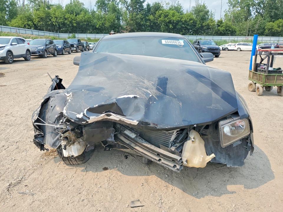 Photo 5 from auction – 2005 FORD MUSTANG with VIN 1ZVFT80N955206954