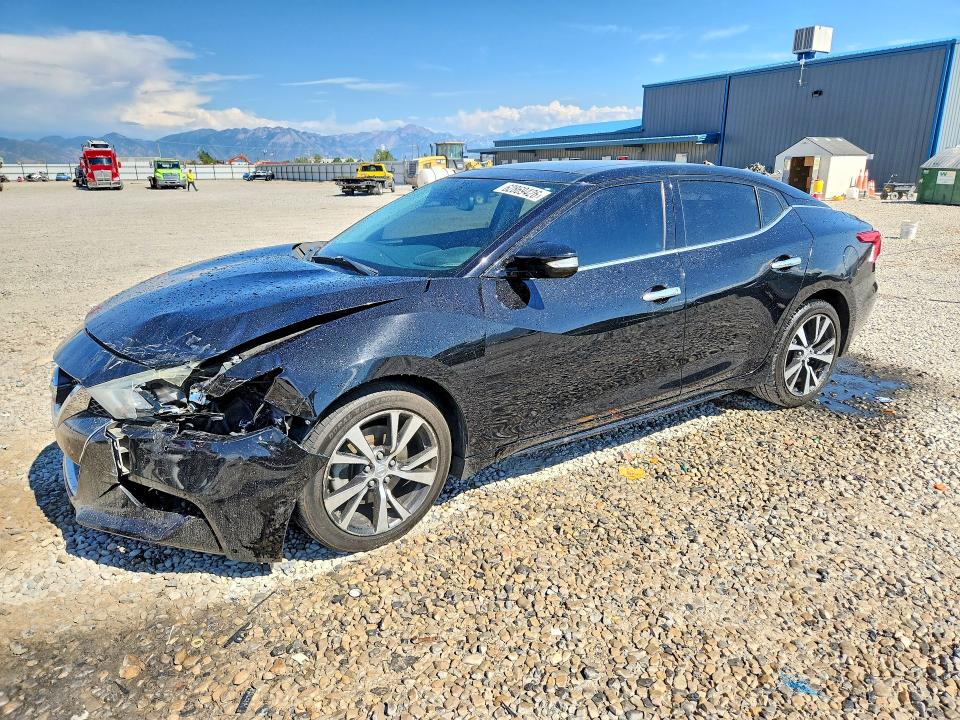 NISSAN MAXIMA 2016 with VIN 1N4AA6APXGC391575 - Photo from auction