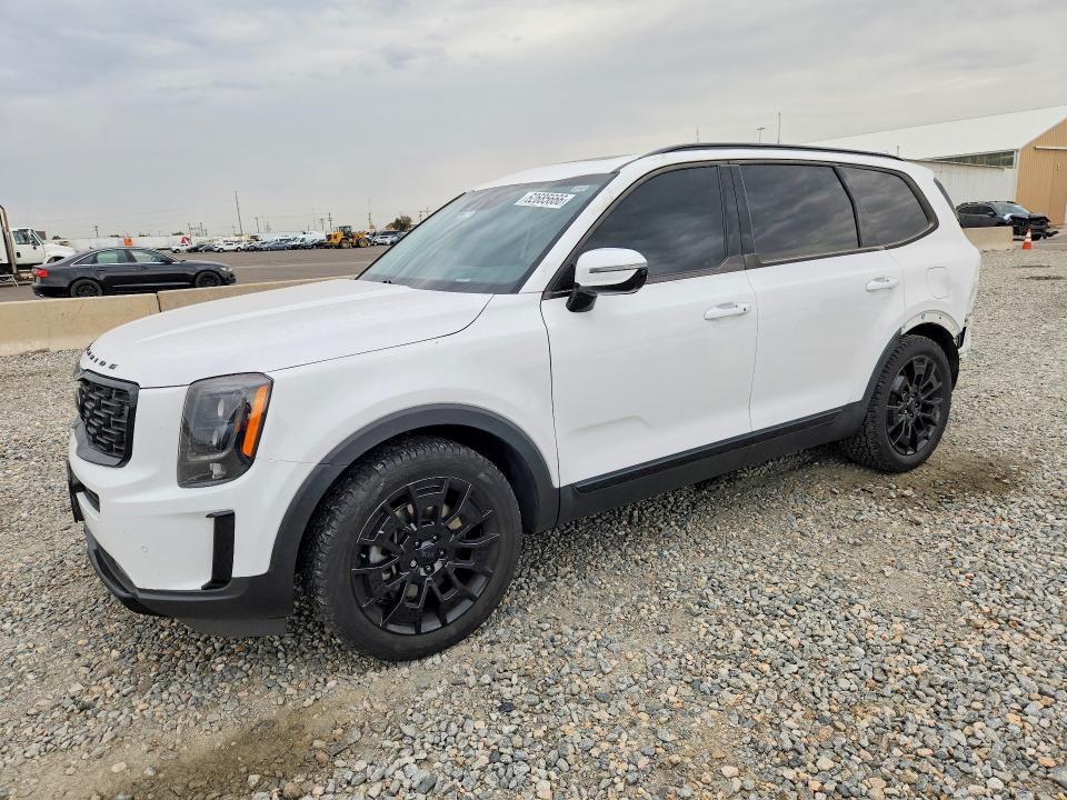 Photo 1 from auction – 2021 KIA TELLURIDE with VIN 5XYP5DHC1MG153105
