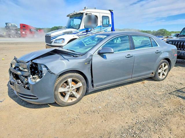 CHEVROLET MALIBU 2009 with VIN 1G1ZF57549F245536 - Photo from auction