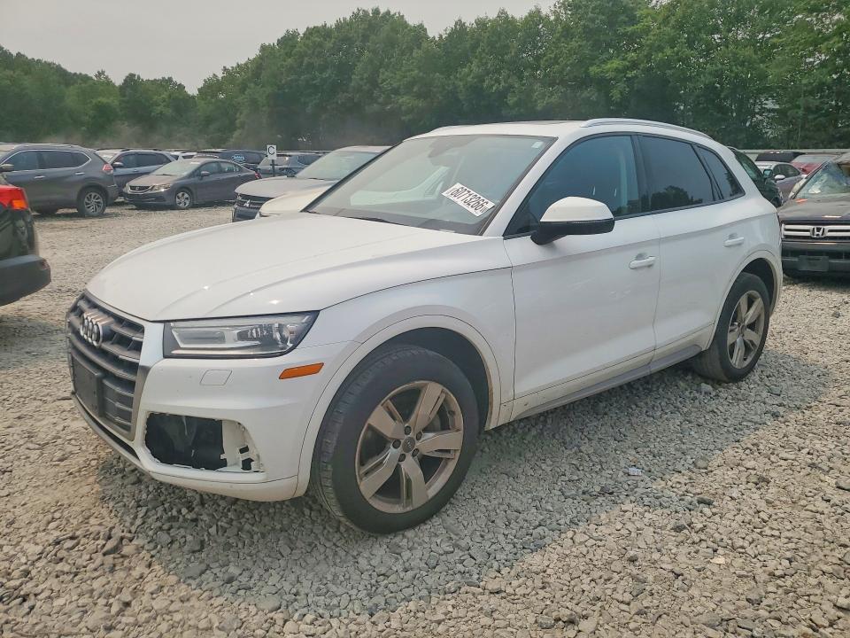 AUDI Q5 2018 with VIN WA1ANAFY7J2018522 - Photo from auction