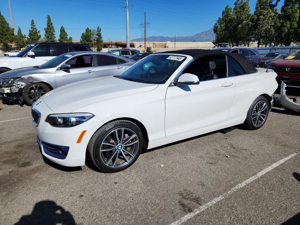 BMW 230I 2019 with VIN WBA2M7C57KVD51961 - Photo from auction