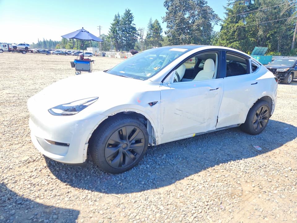 TESLA MODEL Y 2025 with VIN 7SAYGAEEXSF299383 - Photo from auction