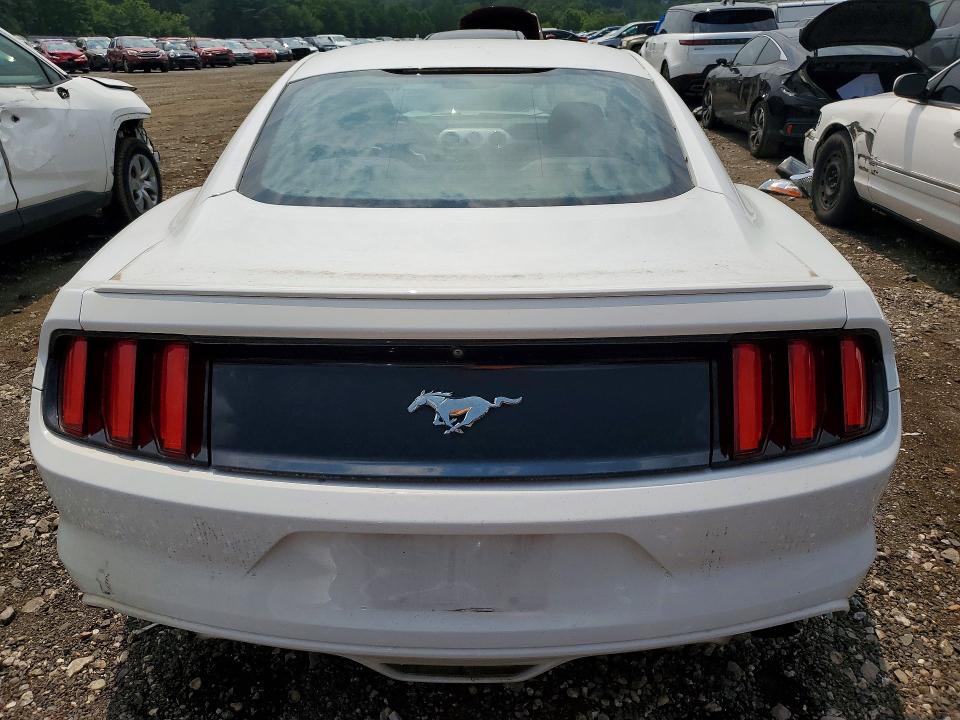 Photo 6 from auction – 2017 FORD MUSTANG with VIN 1FA6P8TH1H5256223