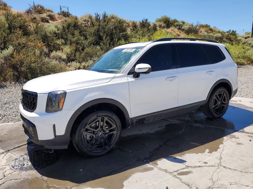 2024 KIA TELLURIDE - Търг №62867366