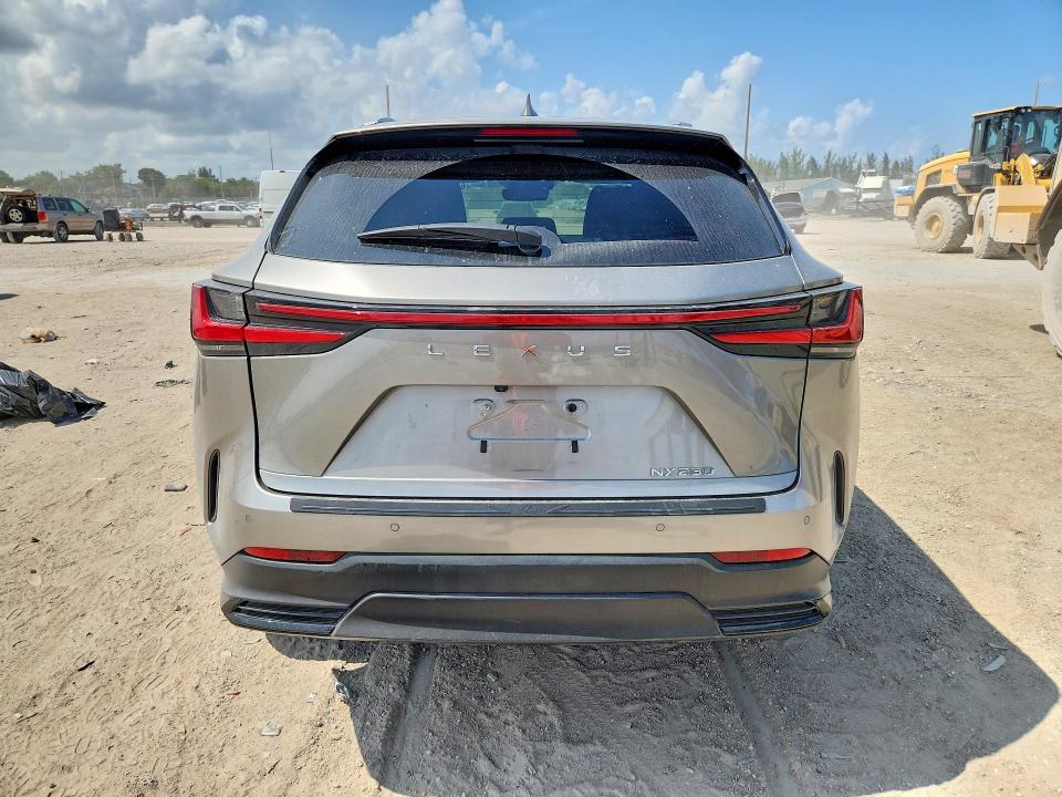 Photo 6 from auction – 2025 LEXUS NX 250 with VIN 2T2ADCAZ7SC030575
