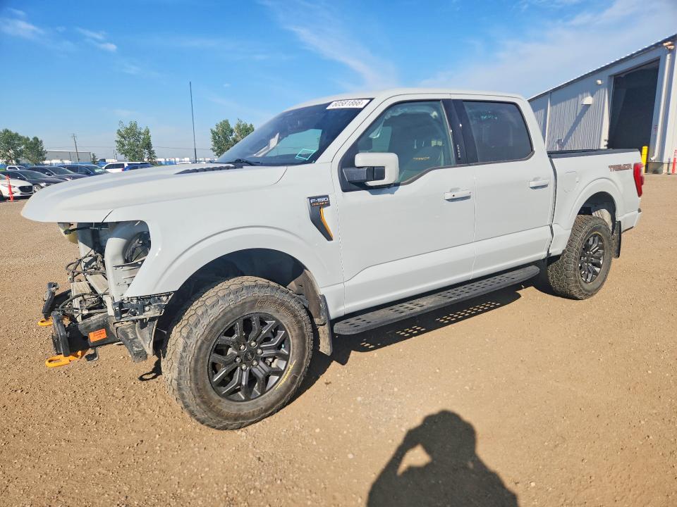 FORD F150 2023 z numerem VIN 1FTEW1E8XPFC95981 - Zdjęcie z aukcji