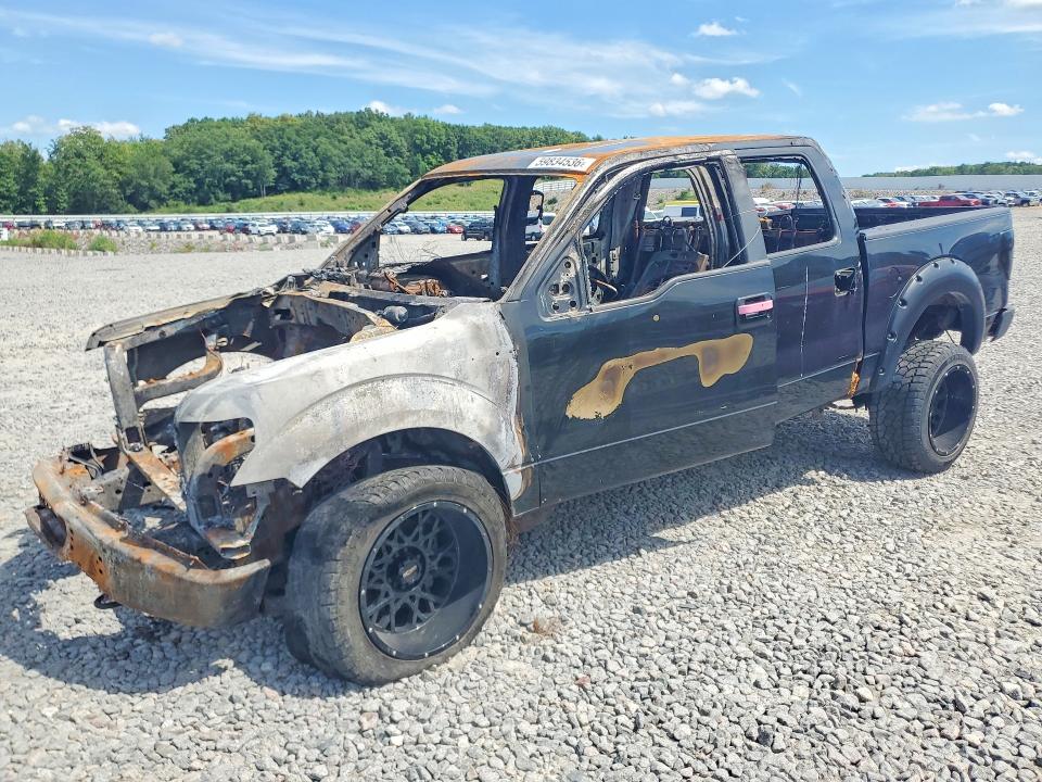 FORD F150 2010 with VIN 1FTEW1E8XAFA84948 - Photo from auction