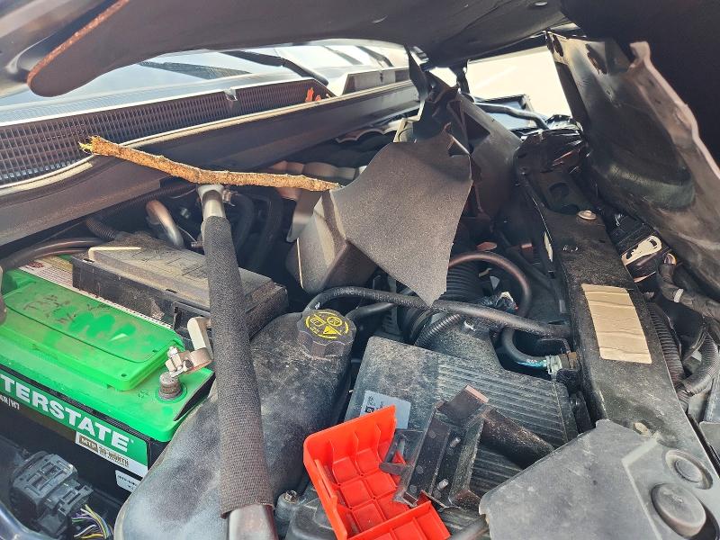 Photo 12 from auction – 2019 CADILLAC ESCALADE with VIN 1GYS4JKJ3KR280241