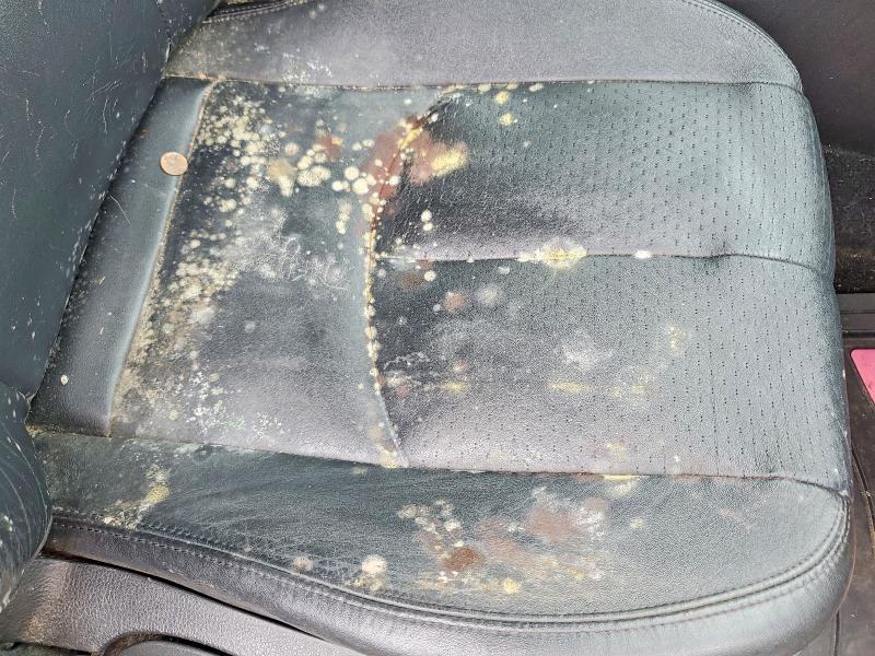 Photo 12 from auction – 2010 MAZDA 6 with VIN 1YVHZ8CH6A5M12334