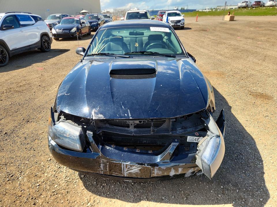 Photo 5 from auction – 2004 FORD MUSTANG with VIN 1FAFP40624F185209