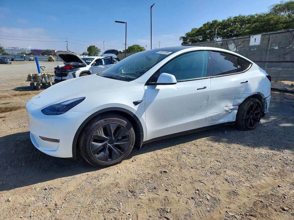 2025 TESLA MODEL Y - Търг №59831696
