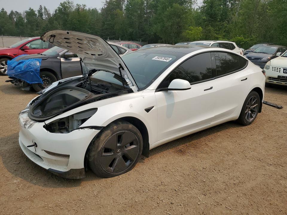 TESLA MODEL 3 2023 with VIN LRW3E1FA4PC920658 - Photo from auction