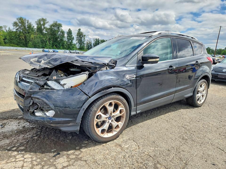 FORD ESCAPE 2013 with VIN 1FMCU0J95DUA59571 - Photo from auction