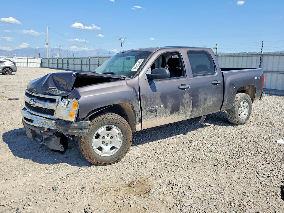 CHEVROLET SILVERADO 2010 with VIN 3GCRKSE32AG177601 - Photo from auction