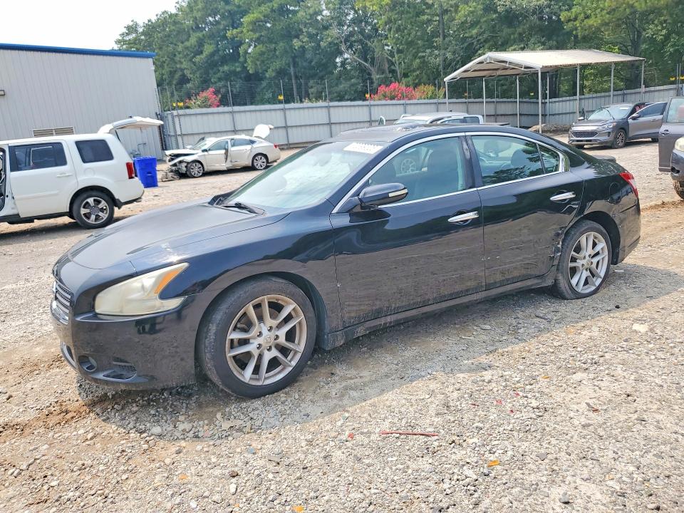 NISSAN MAXIMA 2009 مع رقم تعريف المركبة 1N4AA51E19C857163 - صورة من المزاد