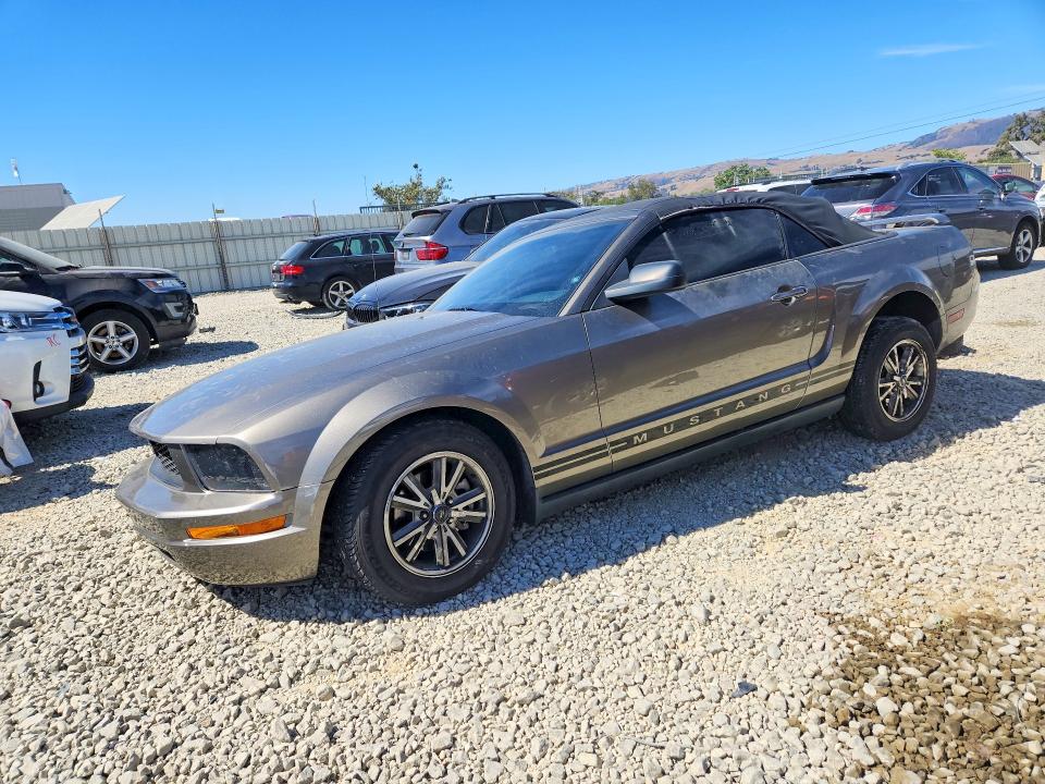 Photo 1 from auction – 2005 FORD MUSTANG with VIN 1ZVFT84N255228286