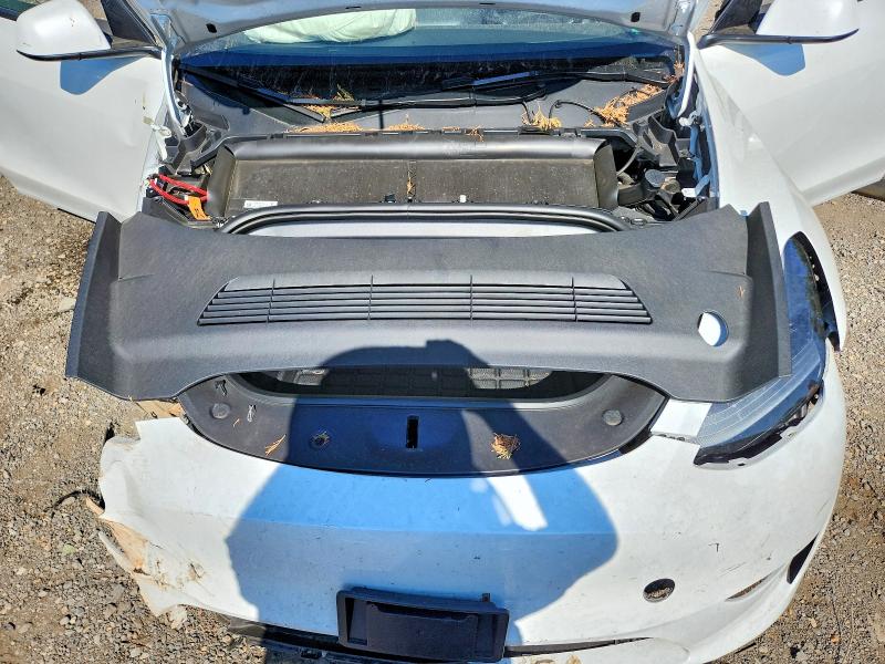 Photo 11 from auction – 2024 TESLA MODEL Y with VIN 7SAYGDEEXRA259040