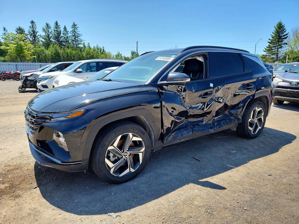HYUNDAI TUCSON 2023 with VIN KM8JCCA13PU132219 - Photo from auction