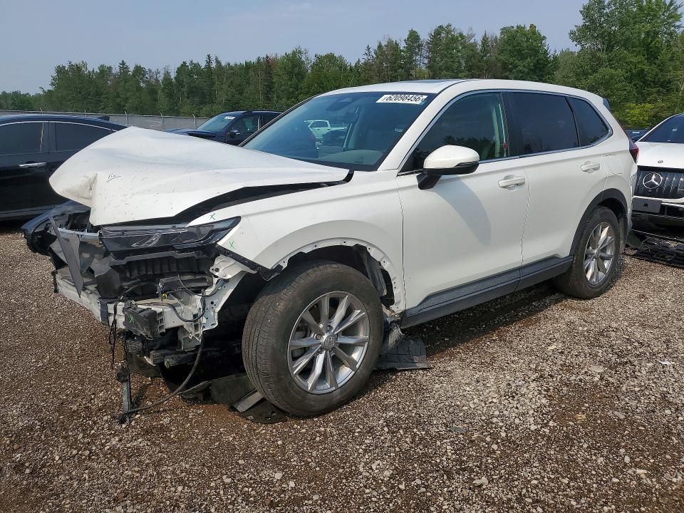 HONDA CR-V 2023 with VIN 2HKRS4H77PH112706 - Photo from auction