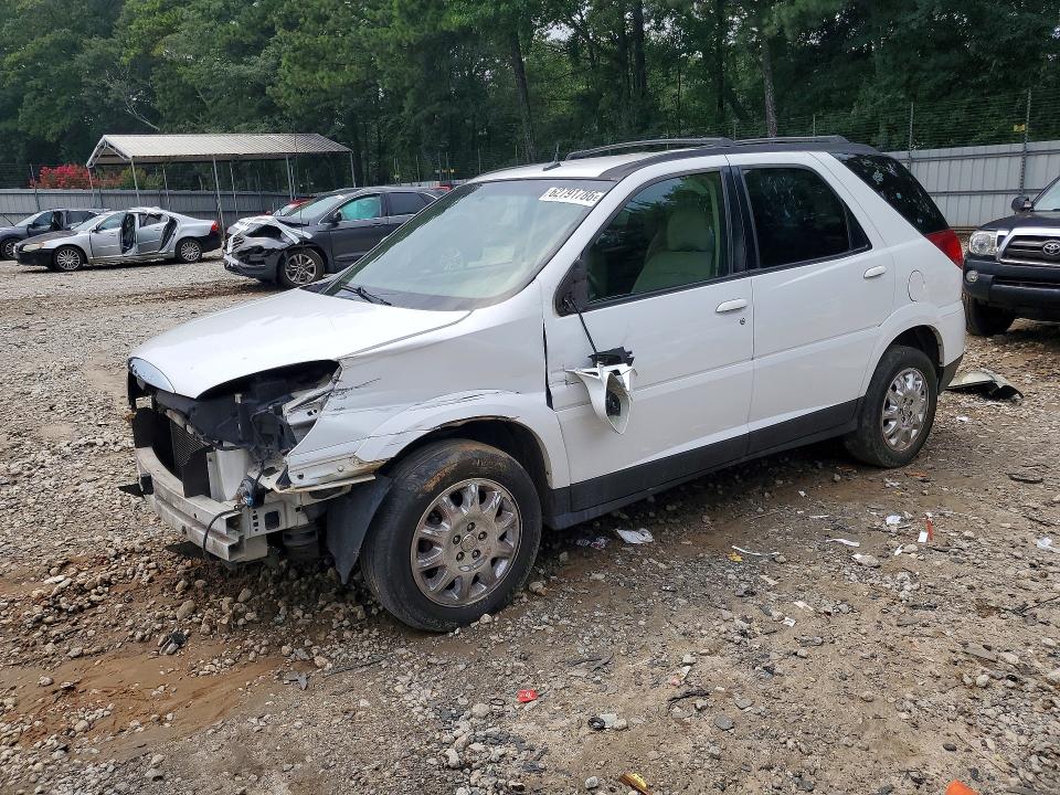 BUICK RENDEZVOUS 2006 with VIN 3G5DA03L66S528784 - Photo from auction